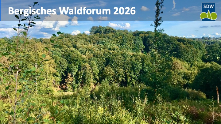 SDW Bergisches Waldforum 2026 am Montag, 16.03.2026 Verantwortung für den Wald der Zukunft