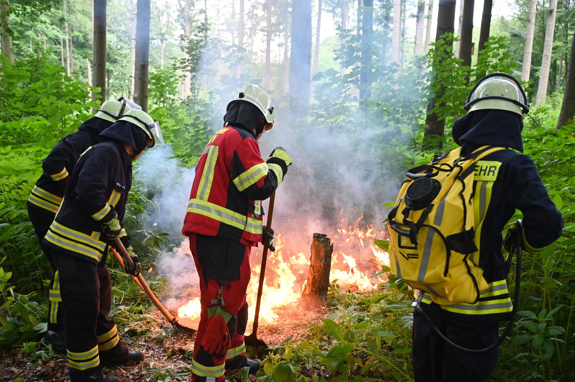 Waldbrandgefahr im Rheinisch-Bergischen Kreis: Jetzt besonders umsichtig sein