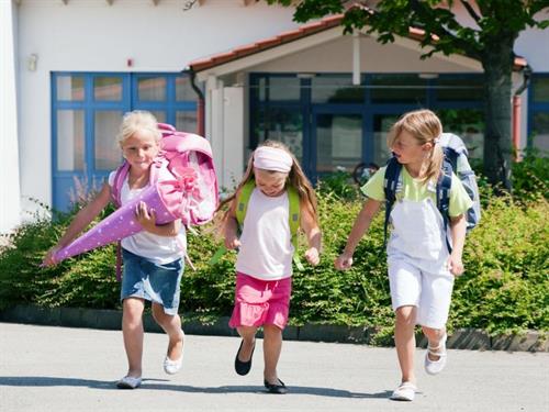 Beratung, Kontakt und Formulare